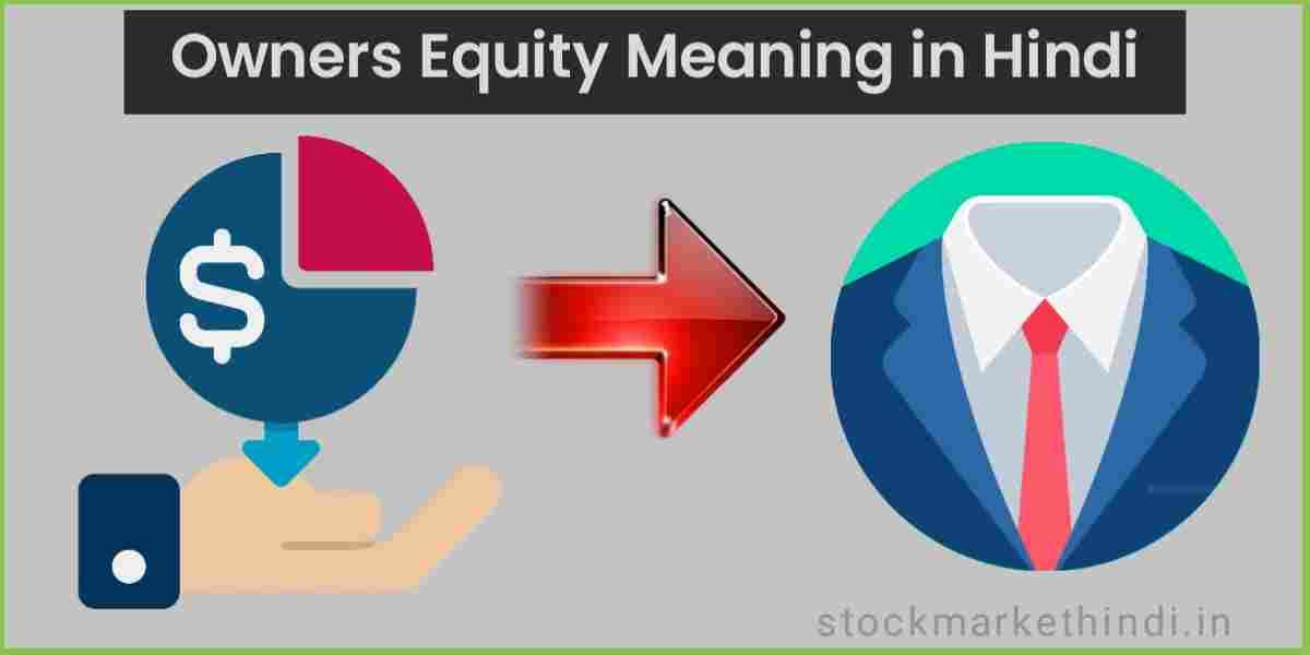 Owners Equity meaning in hindi